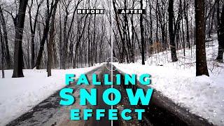Falling Snow Particles