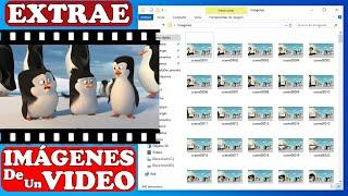 COMO EXTRAER LAS IMAGENES, FOTOS O FRAMES DE UN VIDEO ️ Gratis