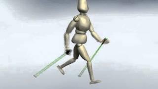 Functional Training with nordic walking