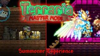 Can Summoner Carry Me Through Master Mode - Terraria