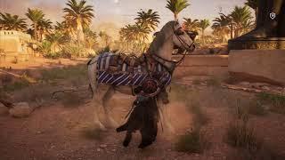 Assassin’s Creed Origins Часть 22: Как решить загадки папирусов - Чаша бога (Сива)