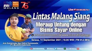 RRI MALANG - LINTAS MALANG SIANG - Meraup Untung dengan Bisnis Sayur Online