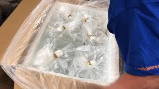 Unboxing 9000 Fish, Shrimp and Snails at April’s Aquarium!!!!