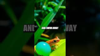 Mind-Bending Mysteries of the Rainforest