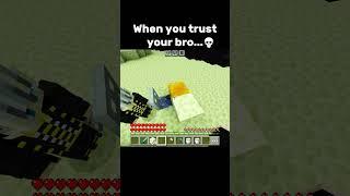 Bro trust #minecraft #minecraftmemes #minecraftshorts #funny #gaming #shorts #memes #fyp