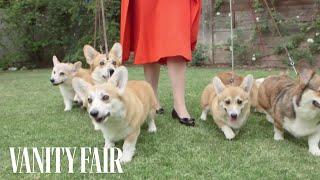 Meet the Queen's Royal Corgis | Vanity Fair