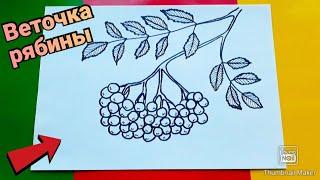 Как нарисовать ВЕТОЧКУ РЯБИНЫ ПОЭТАПНО,простые рисунки/How to draw a sprig of ROWAN in STAGES