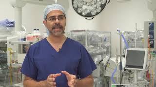 Ahmad Aly - Obesity and cancer