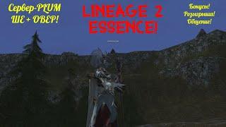 Lineage 2 Essence - Сервер PLUM 68 lvl SE - Розыгрыши!