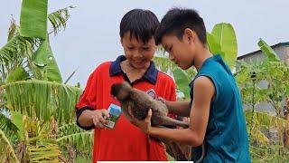 Baby monkey Nahu plays with children in the village while his mother works