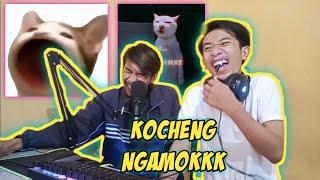 Liat Video Lucu Grup Facebook feat Kocheng Ngeselin