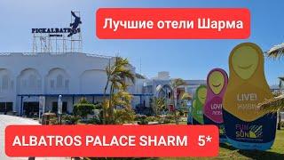 Оцените. Египет. Свежий обзор Март 2022. Последние новости. Albatros Palace Sharm #египет #альбатрос