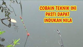 TEKNIK MANCING VIRAL !!! SELALU DAPAT IKAN NILA INDUKAN #mancing #fishing #mancinglobang #fyp