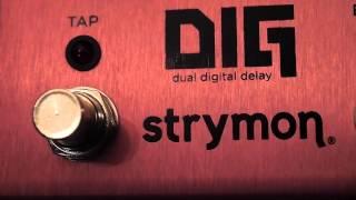 STRYMON delay EL CAPISTAN and DIG - sklep muzyczny Gram Koszalin