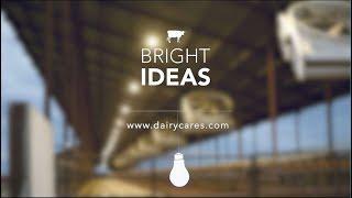 Bright Ideas