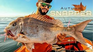 Autumn SNAPPER MADNESS! - They NEVER LEFT!