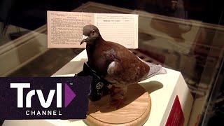 International Spy Museum | Travel Channel