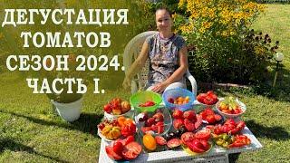 ДЕГУСТАЦИЯ МОИХ ТОМАТОВ 2024. Часть 1 из 2-х.