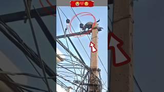 Oh! God I cried all the day, cat get shocked by electric#youtubeshorts#reaction #viral#kitten