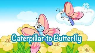 Caterpillar to Butterfly | Amazing Transformation Story for Kids | Animated English Storytelling