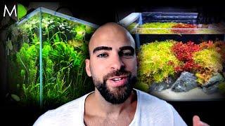 Amazing Aquascapes | How To Improve You Aquarium (Fish Tank Motivation!) #2