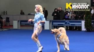 Dance "Pilots" / Dog dancing show "Eurasia  2012 / Russia / Moscow". Freestyle.