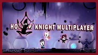 Коллекционный 112% Жучий флекс: Hollow knight Multiplayer