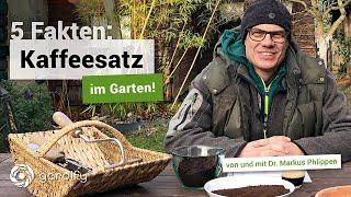 Einsatz von Kaffeesatz im Garten: 5 Fakten | gardify Tipps