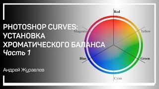 Принцип Эванса. Photoshop Curves: установка хроматического баланса. Андрей Журавлев