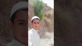 Eating Wild Pilo on a Scenic Hike | Nauman Khan Vlogs,,