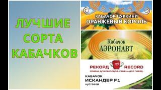 КАБАЧКИ! УРОЖАЙНЫЕ СОРТА КАБАЧКОВ- СОЗРЕВАНИЕ 45 ДНЕЙ. БОЛЬШОЙ И РАННИЙ  УРОЖАЙ КАБАЧКОВ.