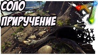 ARK  Survival Evolved - СОЛО ПРИРУЧЕНИЕ КЕТЦАЛЯ!  SOLO TAMING QUETZAL!