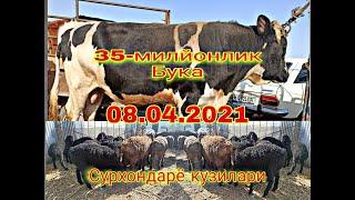 08-04-2021 МАНГИТ МОЛ К,УЙ БОЗОРИ НАРХЛАРИ