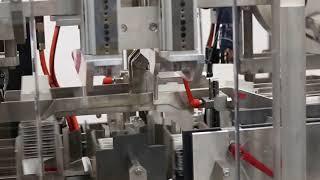 Horizontal Cartoner with Robotic Loading | PMI Cartoning