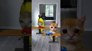 elgato and banana cat #bananacat #happycat #happyhappycat #catmemes #shorts #animation