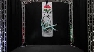 Szende Dóra ELITE Senior Women IPSF 2019 aerial hoop