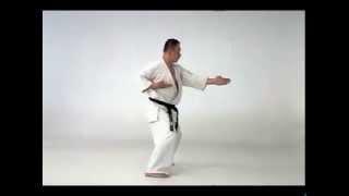 KATA KYOKUSHIN   KANKU