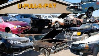 Surprising and Rare Finds at U-Pull & Pay Pittsburgh Junkyard!