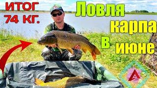 ЛОВЛЯ КАРПА ЛЕТОМ. КАРПФИШИНГ. CARP FISHING IN SUMMER. CARPFISHING.