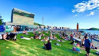 BEACH OSLO NORWAY  SUMMER HOT TIME  #osloelsa67