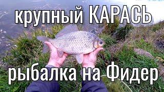 Крупный КАРАСЬ. Рыбалка на Фидер. Озеро Кипень.