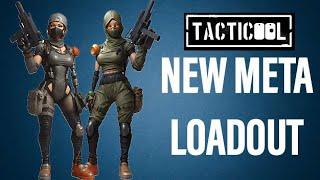 NEW META LOADOUT with RAY