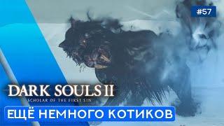 Луд и Заллен, питомцы короля - Dark Souls: Scholar of the first sin - 57