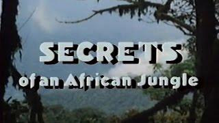 Secrets of an African Jungle (1986)