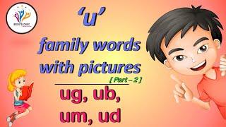 CVC Words | ug family | ub family | um family | ud family | Vowel | Phonics | Brighteaching