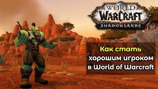 Как стать хорошим игроком в World of Warcraft? Какими качествами нужно обладать?