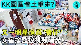 又一明星淪為“豬仔”，KK園區捲土重來？緬甸電詐園區女寢監控意外流出，原來她們這麼慘！