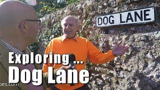 Walks in Sussex: Exploring Dog Lane in Steyning, West Sussex