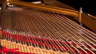 Roland Digital Piano — String Resonance