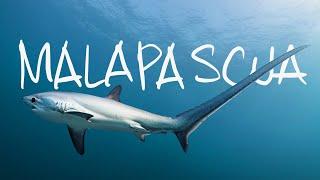 Malapascua: Island of the Thresher Shark // Life, Uncharted Ch. 03 [Documentary]